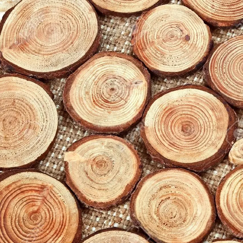 6331071-annual-wood-circles-pieces-of-wood-with-annual-rings